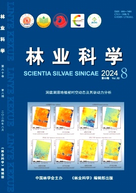 林业科学封面